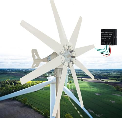16000W Generador de Turbina Eólica 12V 24V 48V 110V 220V Aerogenerador Horizontal Kit generador de viento de energía libre para el hogar granja lámparas de calle 8 palas Molino de viento(220V)