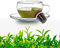50 Capsules Thé Vert à la Menthe Compatibles Nespresso - Café Kickkick