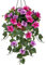 Kunstblumen Wie Echt Morning Glory Hängende Pflanzen Künstliche Blumen mit Hängeampel, Höhe 70 cm, Zimmerpflanze Busch Dekopflanze Grünpflanze