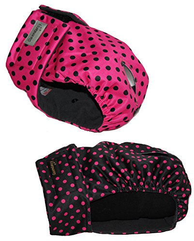 Waschbar Hund in Saison Windel/Hundewindel, 2 Stück, Größe Medium Hose/Windel für läufige Hündin