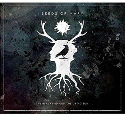 Blackbird and The Dying Sun