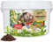 B.O.T cosmetic & wellness Engrais Universel Sulfate de Magnésium Concentré Croissance, Protection et Soin des Plantes, Culture, Fleurs, Jardin, Arbres Fruitiers. Intérieur et Extérieur - 2,5 kg