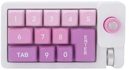 Goshyda Mechanische Nummernpad, Heiße Swappable Numpad -Tastatur mit Typ C 12 RGB LED Backlight Joyystick Roller für Laptop -PC -Kompakt -Tastaturen (violett)