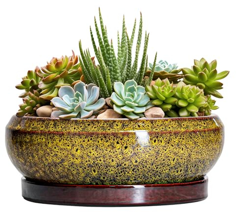 EPFamily Sukkulenten-Übertöpfe 20,3 cm – Bonsai-Töpfe aus Keramik mit Ablaufloch und Tablett, Flacher Blumentopf für drinnen und draußen, runde Sukkulentententöpfe, Pflanzschale, Veranda-Dekor