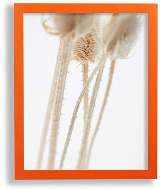 VO design Holzrahmen Finn für Bild 30x40cm Orange mit Acrylglas | Bruchsicheres 1mm Acrylglas klar und 2,5mm weiße MDF-Rückwand