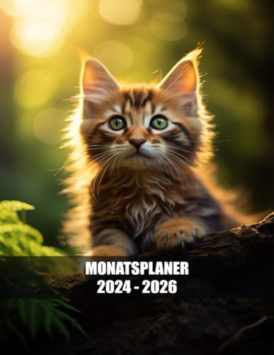 Monatsplaner 2024-2026: Effektive Planung, kreative Gestaltung – Ihr persönlicher Begleiter durch drei Jahre mit einer schönen Katzen-Abdeckung.