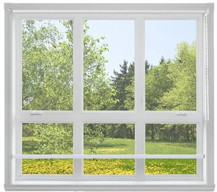ZHENGQIAN Transparent Roll Up Blinds,outdoor roller blinds waterproof,roller blinds for indoor window,window cover,personalized roller blinds,Thick 0.5mm,Customizable(W140*H350cm/W55.11*H137.79in)