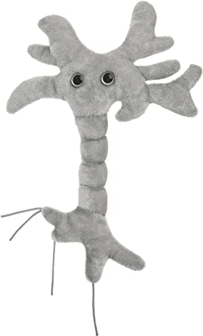 Plush Microbe: Brain Cell