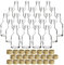 gouveo Juego de 24 botellas de vidrio Mina de 50 ml con tapón de rosca dorado - mini botella de 0,05 l para rellenar - botellas de vidrio para licor, aceite o para manualidades (MFM050G)