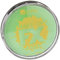 Smiffys Smiffys Make-Up FX, Aqua Gesichtsund Körperfarbe, Lindgrün, 16ml, Wasserbasierend
