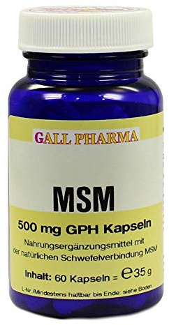 MSM 500 mg GPH Kapseln 60 St