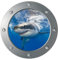 Sewroro Orca Wandtattoo Bullauge Wandtastkal- U- Boot- Fenster 3D Aufkleber Meeresleben Dekorative Aufkleber Unterwassertiere Wandaufkleber Hauswandkunstdekoration Wandaufkleber Bullauge