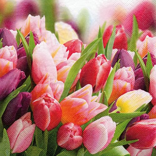 ti-flair Servietten Papier 33x33cm 3-lagig 20 Stück - hochwertig & nachhaltig - Einweg Frühlingsservietten mit bunten Tulpen - Papierservietten für Ostern Tischdeko Frühling Gartenparty Hochzeit