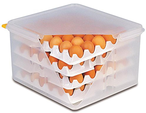 APS 10 Lagen zu Eier-Box, Aufbewahrung für Eier, je Lage á 30 Eier, 28,5 x 28,5 cm, 6,5 cm Höhe