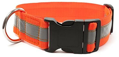 Mystique® Signalhalsband mit Klickverschluss 40mm Neonorange 40-50cm