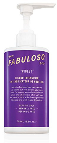 Evo Violet Color Intens - violett 500ml