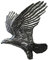 Ansteckpin Adler | für den Hut oder das Revers | Perfekt zum Jagd-Outfit | Anstecker Pin Button | Altsilber