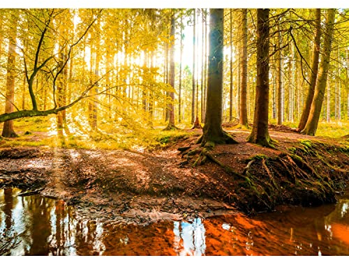 Runa Art Papier peint intissé 396 x 280 cm automne forêt | Toison Décoration Murale Salon Chambre á Coucherr | Fabrication Allemande | chamois 9141012b