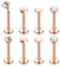 Chriscoco 16G G23 Titan Labret Piercing Internally Threaded Lippenpiercing Tragus Earrings Piercing Ohr Tragus Piercing Medusa Piercing Knorpel Helix Piercing Tragus Stud Roségold 8MM