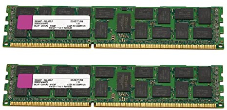Fegtrty 2X 4GB DDR3 Ram Memory REG 1333MHz PC3-10600 1.5V DIMM 240 Pins for Desktop RAM Memoria