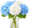 JUSTOYOU Lot de 4 fleurs d'hortensia artificielles - Double couleur - Tige unique - Réalistes - 40,6 cm - Toucher réel - Pour mariage, maison, fête (blanc et bleu)