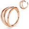Longbeauty 16G Knorpel Ohrring Nasenringe Hoop 316L Edelstahl Clicker Hinged Segmentring Septum Helix Daith Tragus Piercing Ring, Rosegold, 10mm