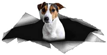 SAPHON 3D Hunde Aufkleber Autoaufkleber 17 cm Geschützte Autoaufkleberabdeckung Kratzer Niedlich 3D Haustier Jack Russell Terrier Hund Haustier Tierzubehör Autofenster PVC