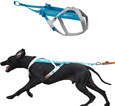Non-stop dogwear FREEMOTION HARNESS 5.0 |111| blue/grey | Hunde-Geschirr für alle Sportarten, Größe:8