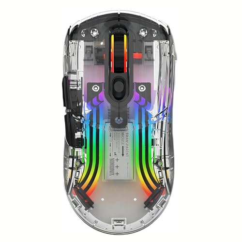 Lancoon Ratón Inalámbrico Transparente Ratón Mecánico Gaming con 5 dpi Ajustables Diseño Ergonómico 2.4G Botón Mute Sensor Óptico para Ordenador Gaming (Negro)