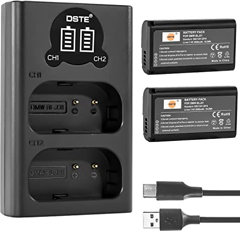 DSTE DMW-BLJ31 Rechargerable Battery (2-Pack) and Smart LED Dual USB Charger Compatible with Panasonic Lumix S1, Lumix S1R, Lumix S1H, DMW-BGS1R
