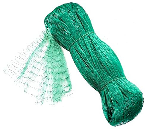 Acan Tradineur - Malla Anti pájaros de PE, Red de protección contra Animales, Aves para Frutas, Plantas, árboles, jardín, huerto, Cultivos (Verde, 2 x 10 m)