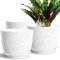 SE SUN-E 3 pezzi* 25CM set di vasi per piante per interni esterni, vasi da fiori per casa, vasi per piante con foro di drenaggio e piattino vaso di decorazione in plastica, bianco maculato