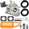 ZAMDOE BR 600 Carburetor for Stihl BR600 BR500 BR550 Backpack Blower Leaf Blower Replaces for Zama C1Q-S183 C1Q-S184 4282-120-0606 4282-120-0607 4282-120-0608 Parts, with 4282 141 0300 Air Filter