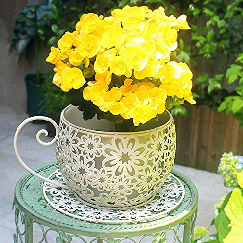 OWIEN Flower Pot Decoration, Outdoor Iron Courtyard Garden Living Room Creative Decoration Flower Pot Vintage Planter Coffee Saucer Tea Cup Garden Plant Holder Modern Statue (Color : White)