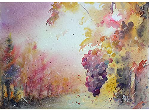 Clairefontaine - Ref 93410C - Fontaine Cold Pressed Watercolour Deckled Edge Sheets (10 Sheets) - 56 x 76cm Size, 300gsm Paper - Suitable for Watercolour Artwork, White