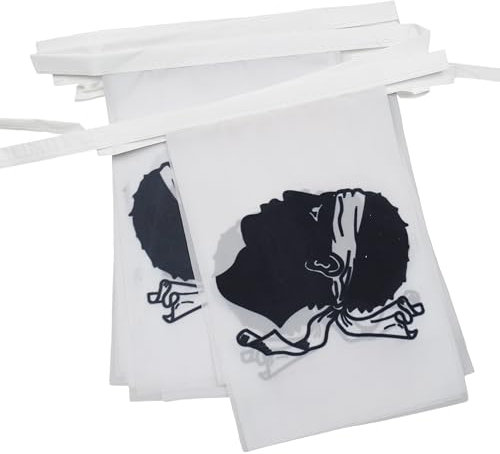 AZ FLAG - Guirlande Drapeau Corse - 6 Mètres Avec 20 Fanions Province Corse De 21x14 cm - Petits Drapeaux 100% Polyester - 60g