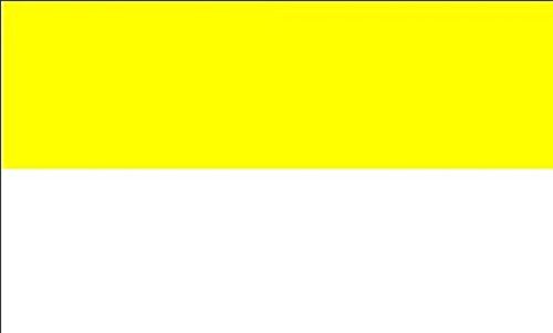 U24 Fahne Flagge Gelb-Weiß Kirchenfahne 150 x 250 cm