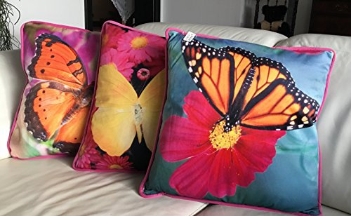 Gilde Gallery Set 3 gefüllte Zierkissen mit Schmetterlingen mit wunderschönen Fotodrucken mit umlaufender Keder Größe 45 x 45 cm