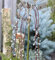 Hochstamm Hängende Kätzchenweide 80-100cm - Salix caprea