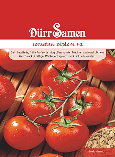 TomatenSamen Diplom F1 Rote Tomate Tomatensamen ca 25 Korn Saatgut Robust Ertragreich Garten Hochbeet Kübel Dürr Samen