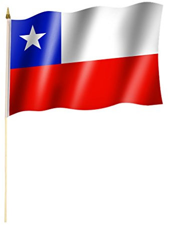 Stockflagge/Stockfahne CHILE Flagge/Fahne ca. 30 x 45 cm mit ca. 60cm Stab/Stock