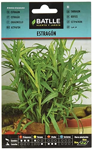 Batlle - Semillas Aromáticas - Estragon (Semillas - 50cm)