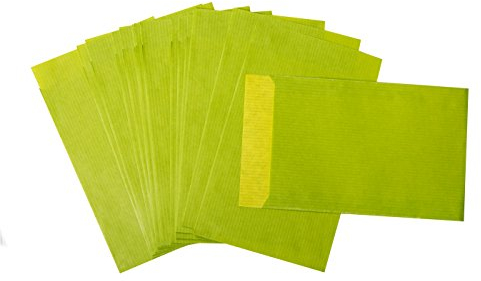 Logbuch-Verlag 25 x kleine grüne Papiertüte 9,5 x 14 cm - flache Geschenktüten hellgrün - Partytüte Umschlag Mitgebsel Tüten