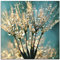 ARTland Wanddeko Glasbilder Wandbild Glas Bild einteilig 50 x 50 cm Quadratisch Innere Ruhe Wellness Pflanzen Blumen Pusteblume Wasser Regen Tau Abstrakt S8TE