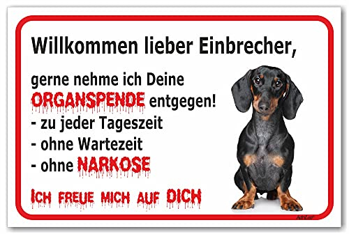 AdriLeo Schild - Vorsicht Kurzhaardackel - Willkommen lieber Einbrecher - (20x30cm) / Achtung Hund Wachhund Dackel Teckel Dachshund robust langlebig UV-beständig wetterfestes Warnschild