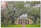 United States Jigsaw Puzzle 1000 Piece America USA Oak Alley Plantation Puzzle Game Artwork Travel Souvenir Wooden