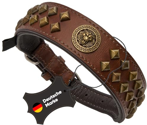 MICHUR® Hundehalsband Leder Braun Gold | Lederhalsband Hund, Handgefertigt, Weich gepolstert, Mit Nieten & Löwenkopf, Verstellbar, Robust & langlebig