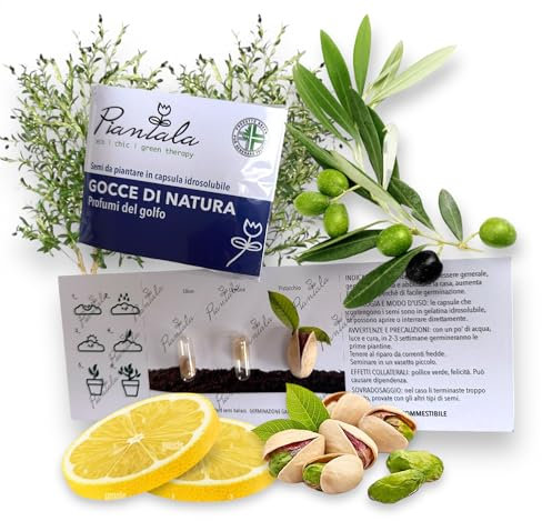 KIT SEMI PIANTABILI in BLISTER da 3 capsule (PROFUMI DEL GOLFO: ulivo, limone, pistacchio)
