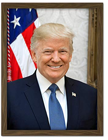 Artery8 Craighead Portrait US President Donald Trump Photo Artwork Framed Wall Art Print 18X24 Inch Porträt Präsident Fotografieren Wand
