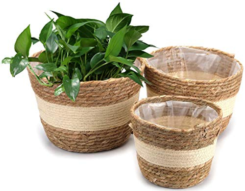 Yesland 3 Pack Seagrass Planter Basket, 25.4cm/21.6cm/18.4cm Beige Flower Pots Cover & Plant Containers, Hand Woven Basket with Waterproof Plastic Liner for Home Decor in Indoor or Outdoor